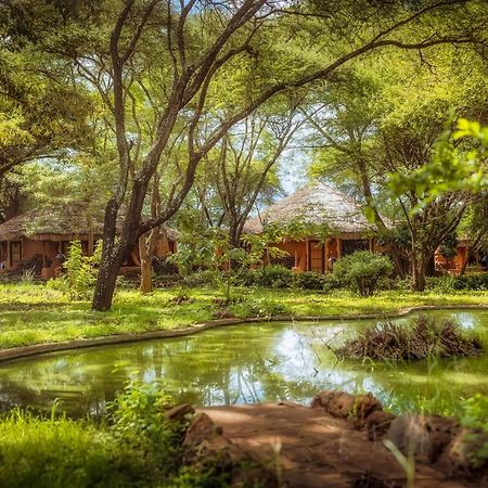 Amboseli Sopa Lodge Экстерьер фото